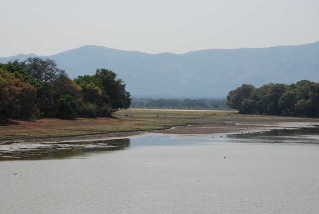 Walking in south luangwa